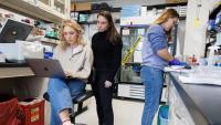 Lab technicians looking at a laptop in an infectious diseases lab